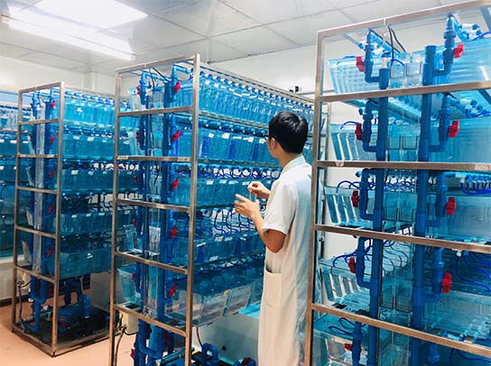 k8.com(中国区)官方网站