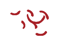 k8.com(中国区)官方网站